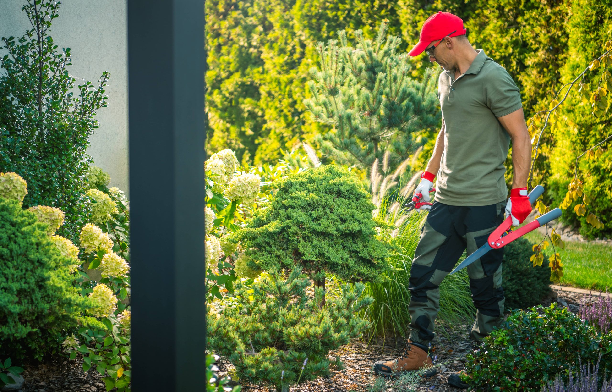 Blühende Sträucher bieten das ganze Jahr über Farbe: Verwandeln Sie Ihren Garten in ein ewiges Paradies