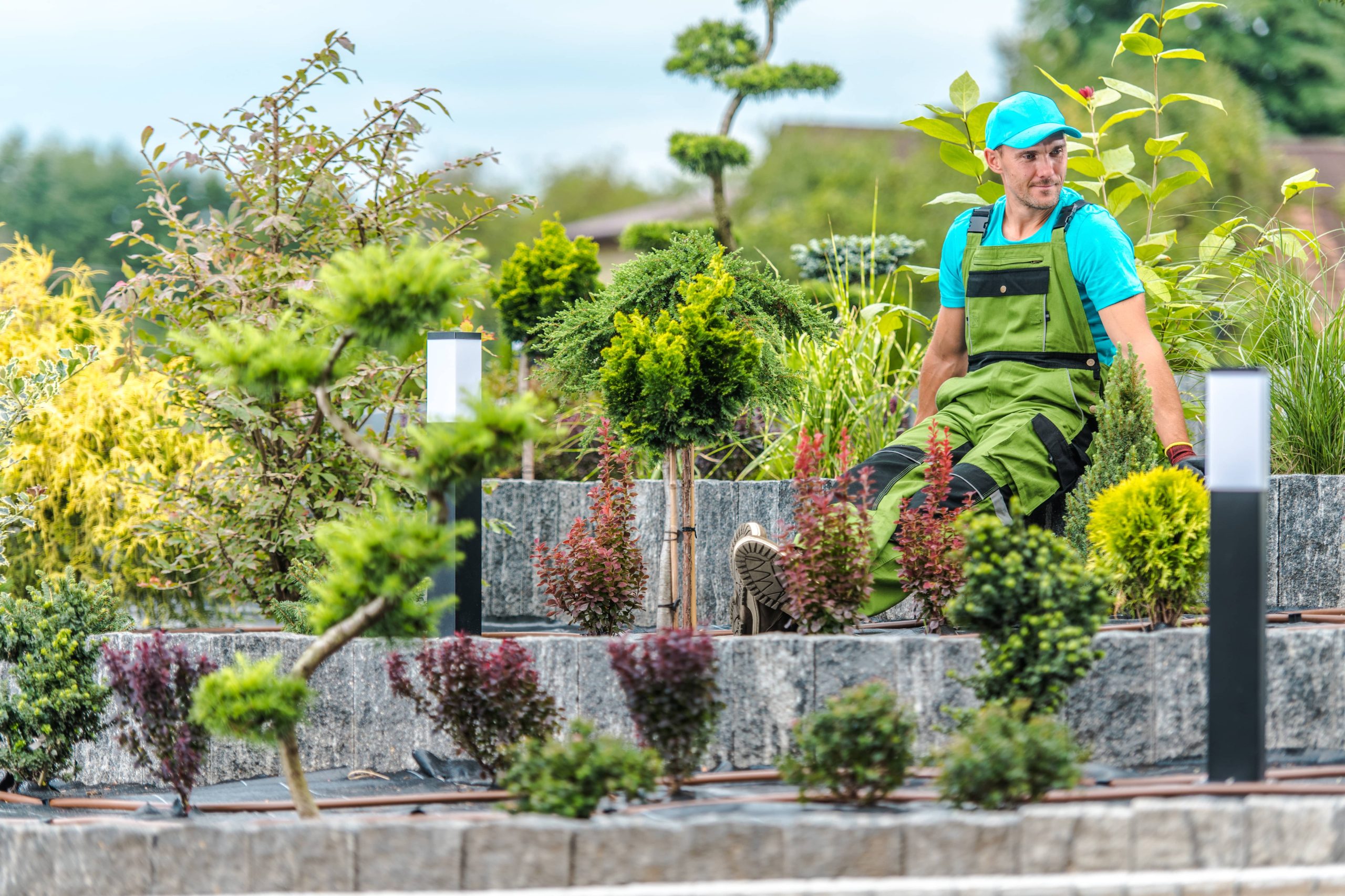 Einsteigerleitfaden zum Hochbeet-Gartenbau