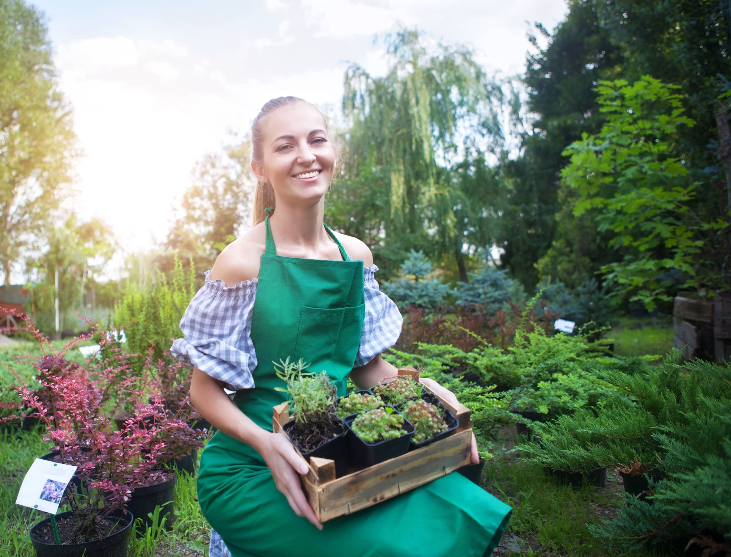 Verwandeln Sie Ihren Garten in ein Paradies für Wildtiere, um Vögel und Bienen anzulocken